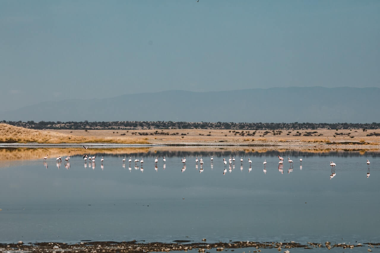 Lake Nakuru