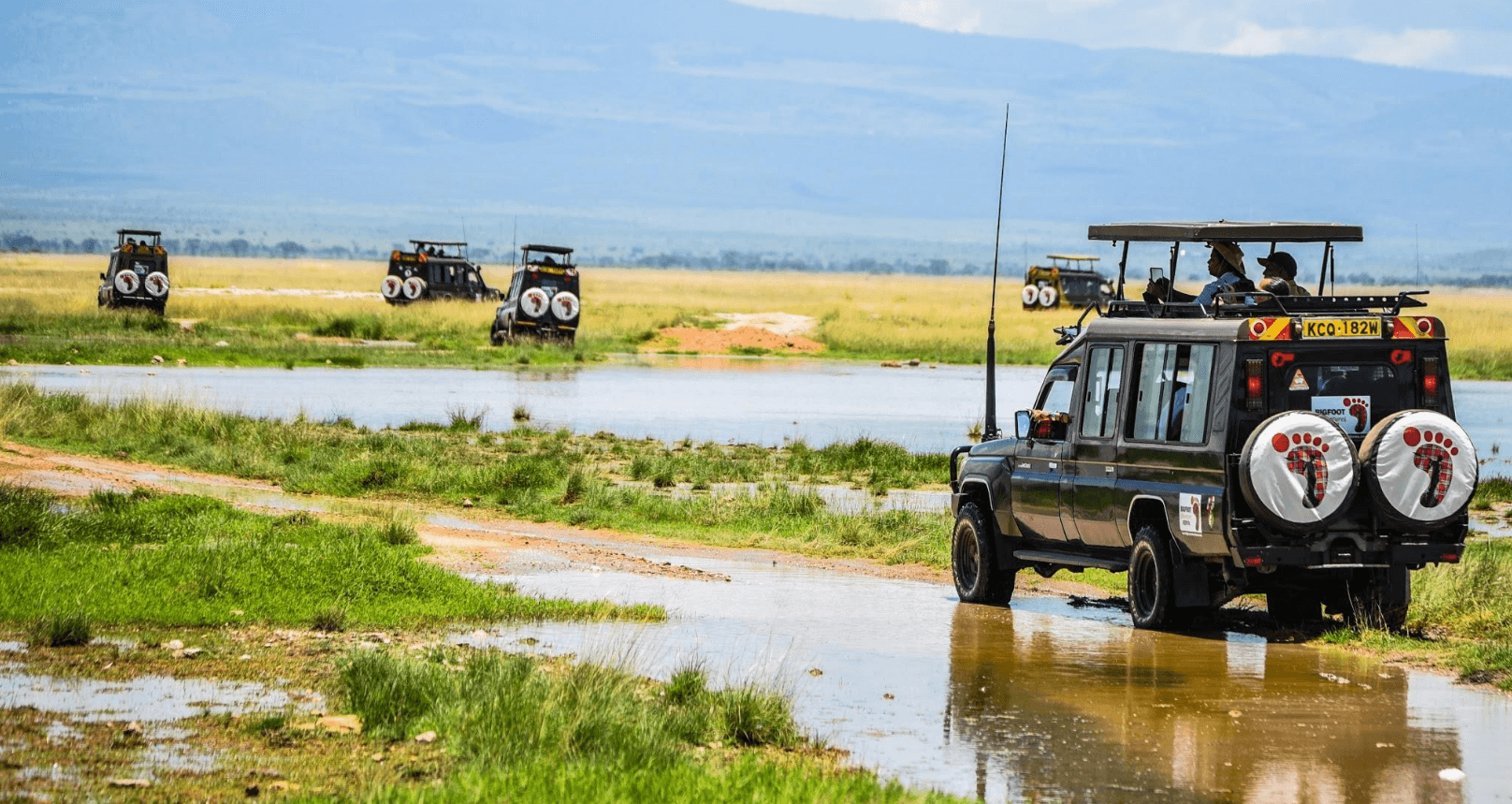 Landcruisers