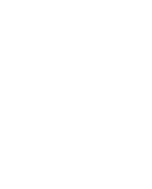 Tours and Travel 100